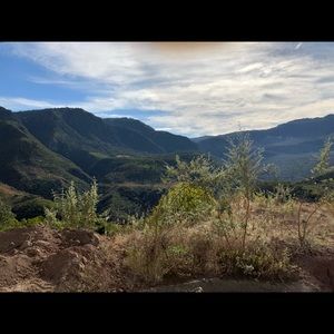 Meet your Posher, Mari